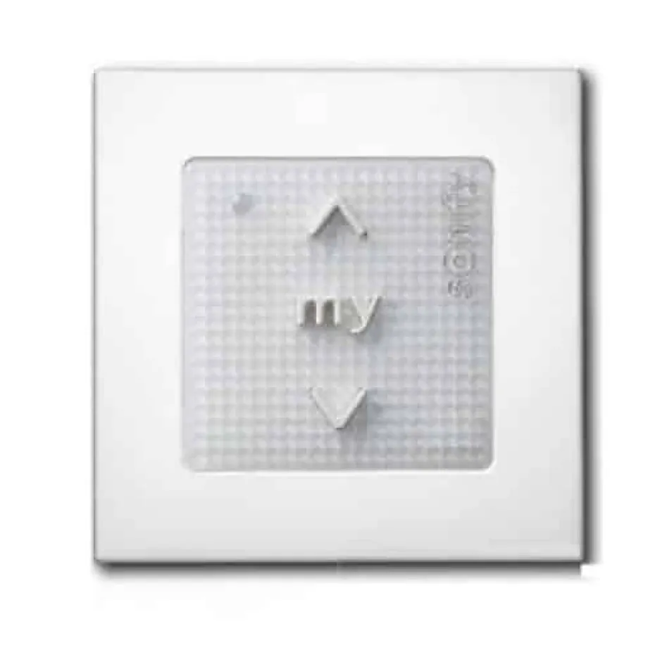 Télécommande Smoove origin rts 1810880 pour portail et garage^Somfy Best