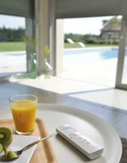 Télécommande Telis 6 Chronis RTS Pure 2401101^Somfy Clearance