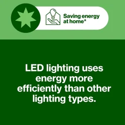 Torche rechargeable 300 lumens-Diall Outlet