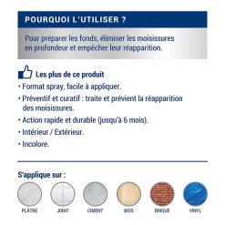 Traitement anti-moisissures intérieur extérieur 0,5L^Ripolin Hot