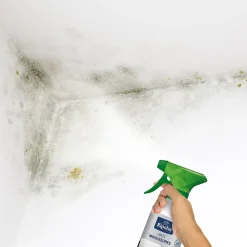 Traitement anti-moisissures intérieur extérieur 0,5L^Ripolin Hot