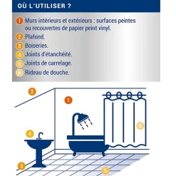 Traitement anti-moisissures intérieur extérieur 0,5L^Ripolin Hot