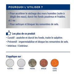 Traitement murs humides et salpêtre intérieur extérieur incolore 0,75L-Ripolin Discount