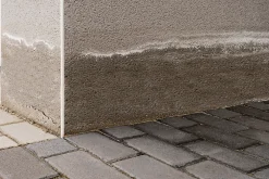 Traitement murs humides et salpêtre intérieur extérieur incolore 2,5L-Ripolin Online