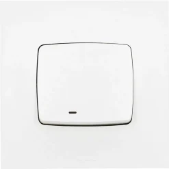 Va&vient lumineux Neptune 10A^Legrand