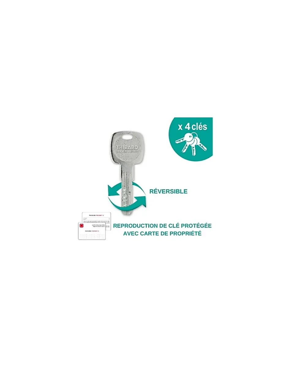 Verrou à bouton Transit 2 pour porte d'entrée, cylindre 80mm, 4 clés, époxy or --Thirard Online