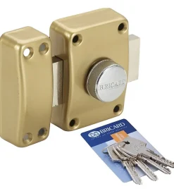 Verrou de sécurité pour porte à bouton et clé Bricard Cylindre Astral 42 mm 3 clés Avec contre plaque^Autres Best