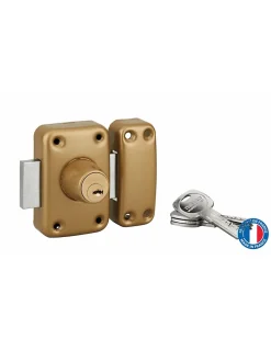 Verrou double entrée Trafic 6 pour porte d'entrée, cylindre 45mm, acier, 4 clés, époxy or --Thirard Clearance