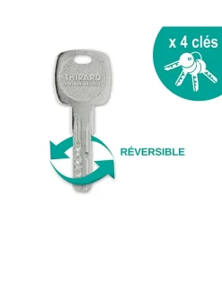 Verrou double entrée Trafic 6 pour porte d'entrée, cylindre 45mm, acier, 4 clés, époxy or --Thirard Clearance