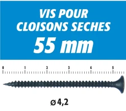 Vis Auto Perceuse 55 mm - Fixation des Plaques de Plâtre sur l'Ossature - Intérieur - Boîte de 500 Pièces^Semin Hot