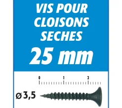 Vis Auto Perceuse 25 mm - Fixation des Plaques de Plâtre sur l'Ossature - Intérieur - Boîte de 1000 Pièces (Lot de 3000)^Semin Discount