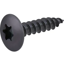 Vis de charnière zinguée noire 6x30 mm - 20 pièces^Diall Hot