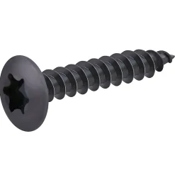 Vis de charnière zinguée noire 6x40 mm - 20 pièces-Diall